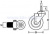 SCt 75