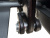 LMS-20P